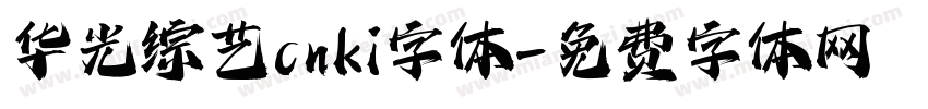 华光综艺 cnki字体字体转换
